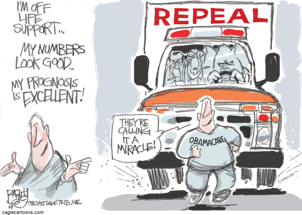 Repeal Or Cut BaitCOLOR