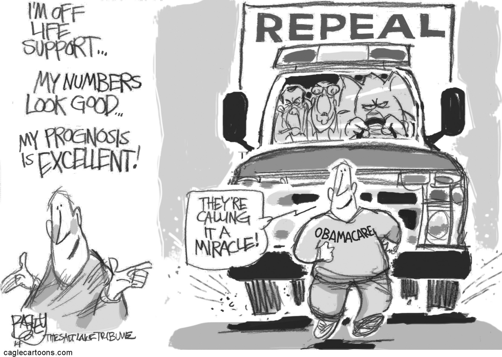 Repeal Or Cut Bait