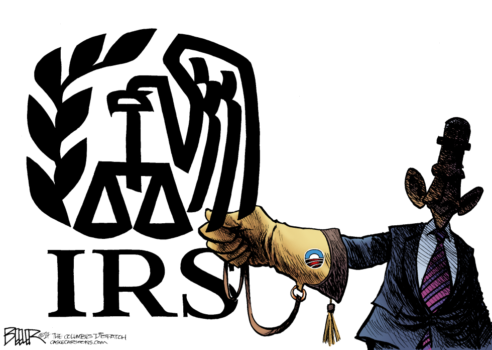  CETRERIA CON EL IRS  by Nate Beeler