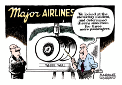 AIRLINE STOWAWAY by Jimmy Margulies