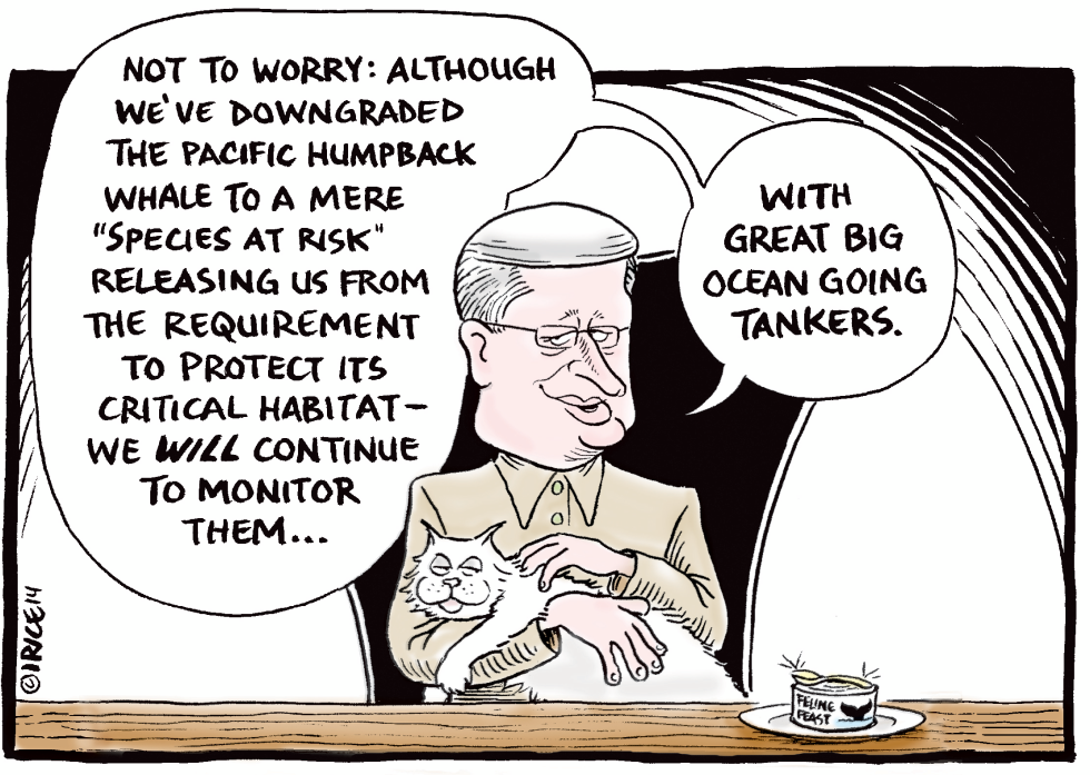 Harper and the Humpback Whale