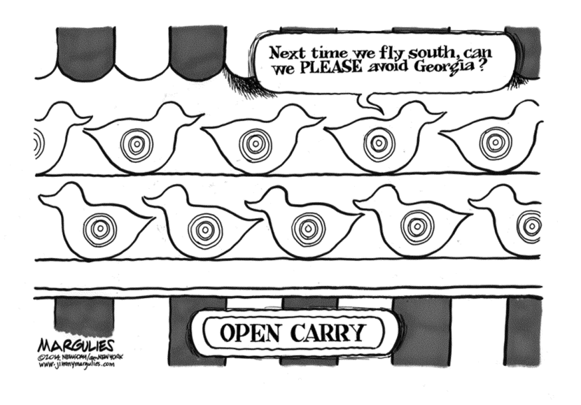 Georgia Open Carry