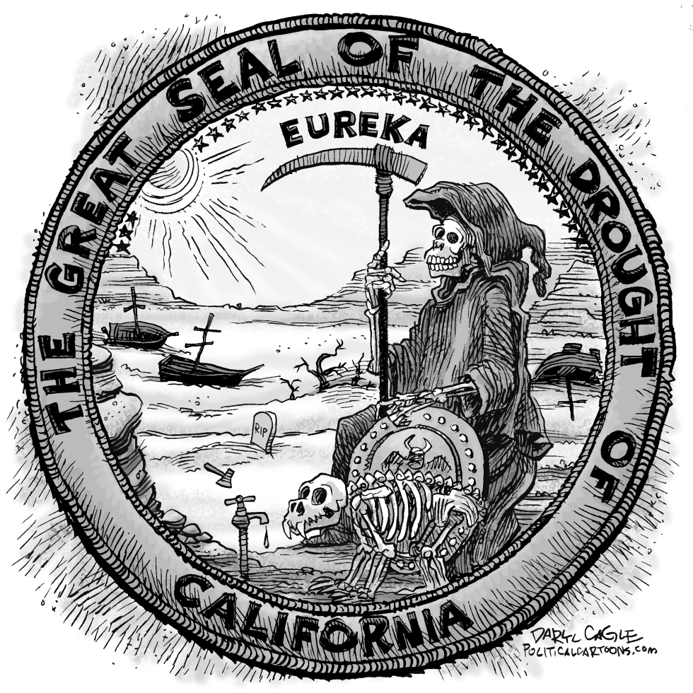 California Drought Seal Gray