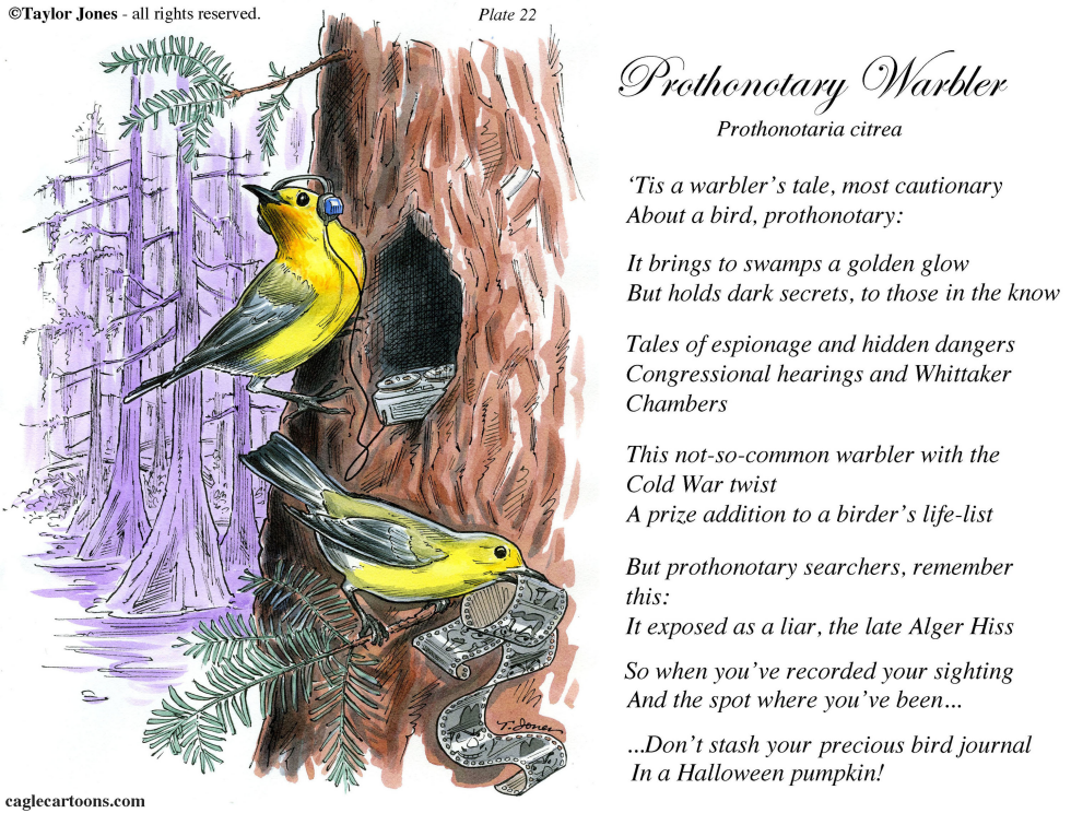 Field Guide for the Birds - Plate 22 - COLOR
