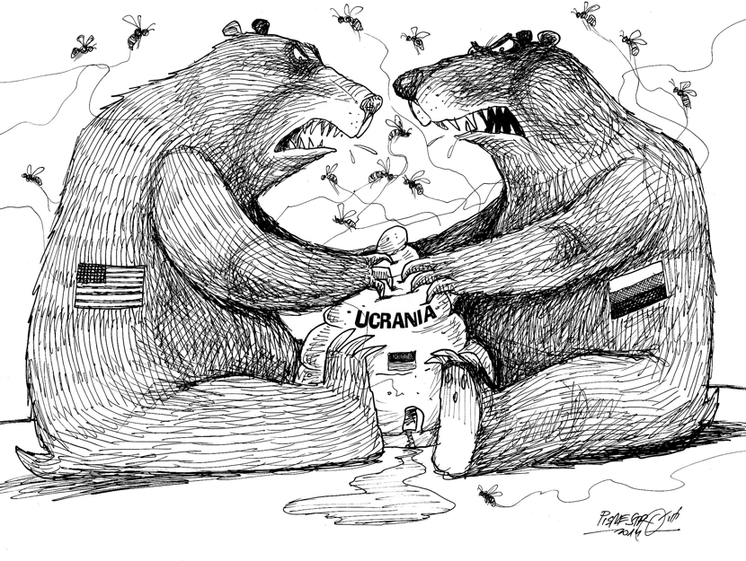 Disputas de Osos