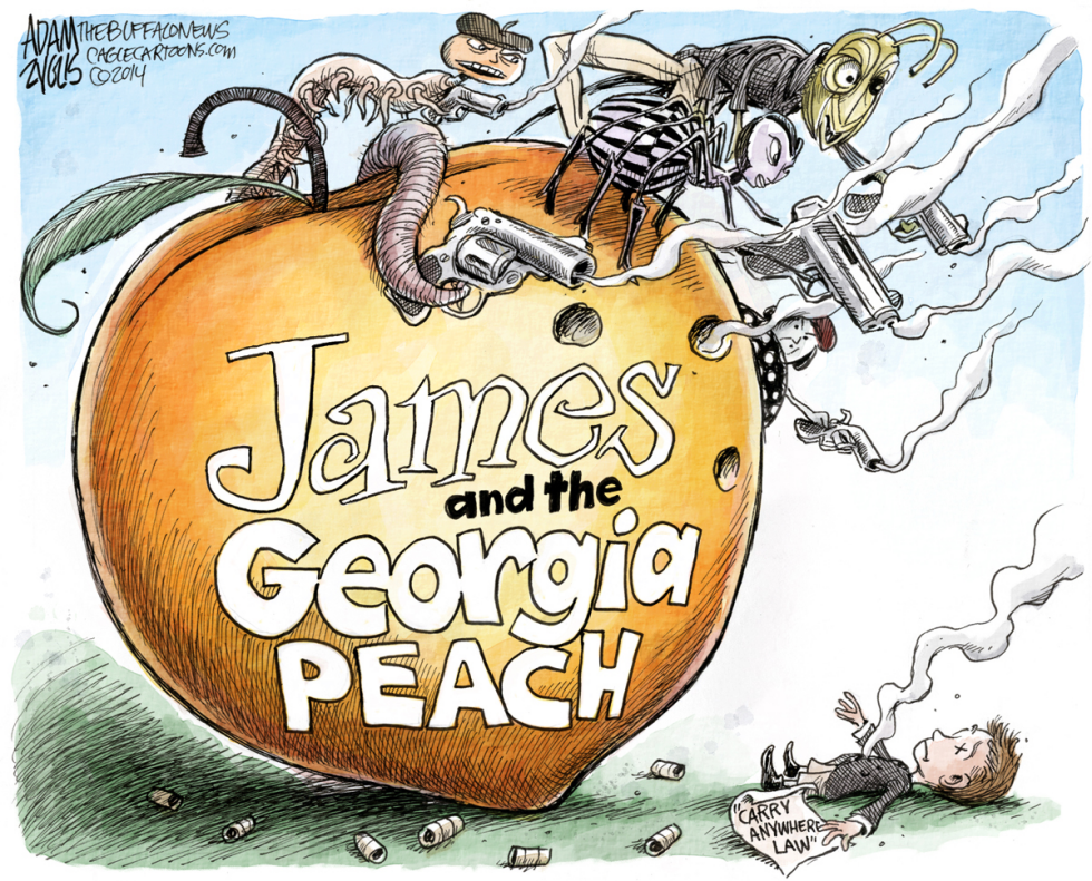 Georgia Gun Law COLOR
