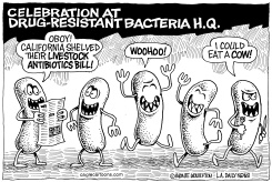 LOCAL-CA LIVESTOCK ANTIBIOTICS BILL by Monte Wolverton