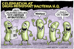 LOCAL-CA LIVESTOCK ANTIBIOTICS BILL  by Monte Wolverton