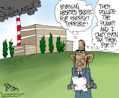 OBAMA'S BURNING BABIES  by Gary McCoy