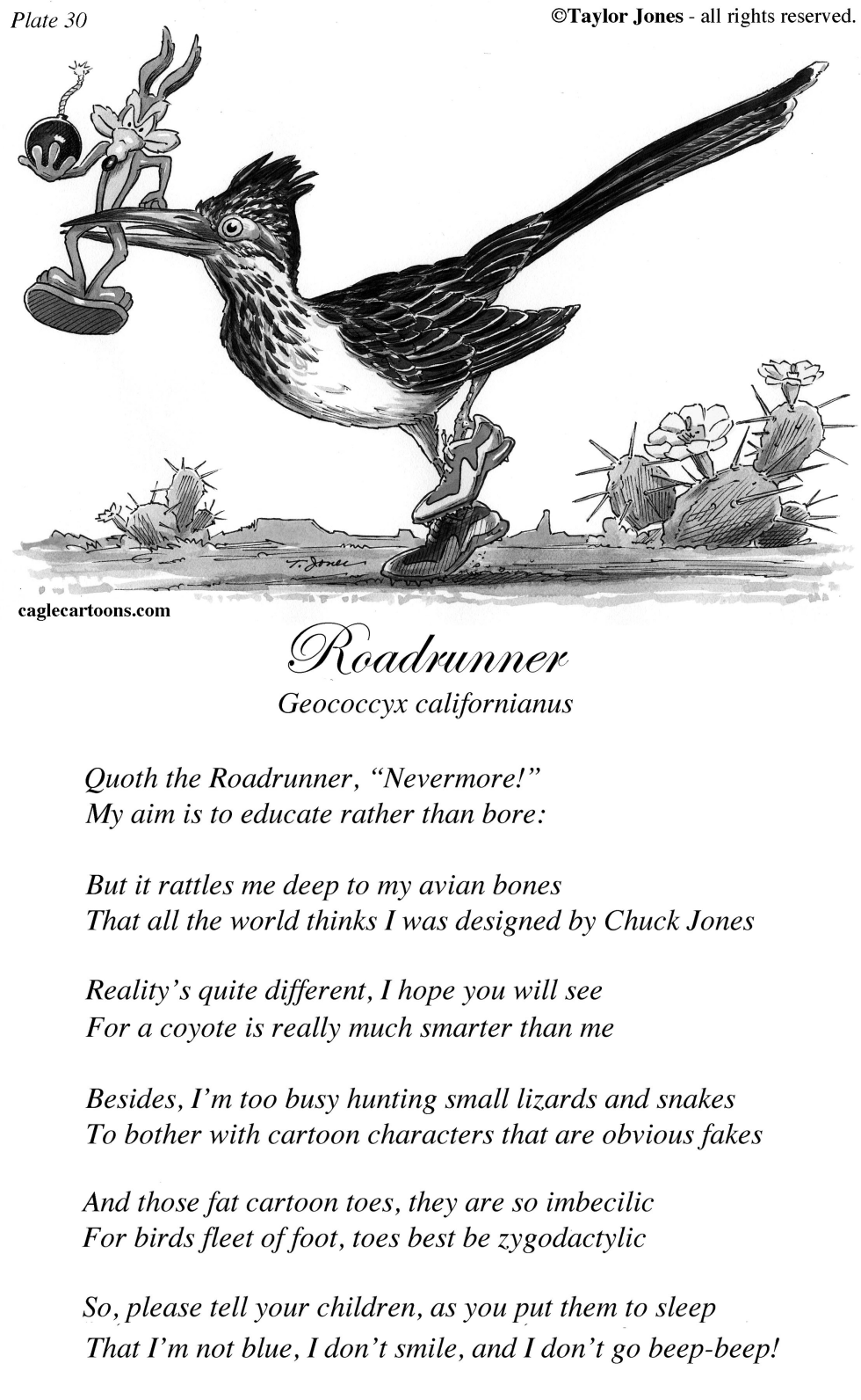 Taylor Jones Field Guide for the Birds - Plate 30