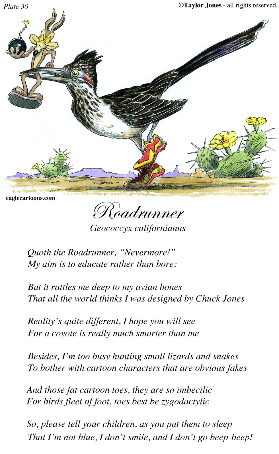 Field Guide for the Birds - Plate 30 - COLOR