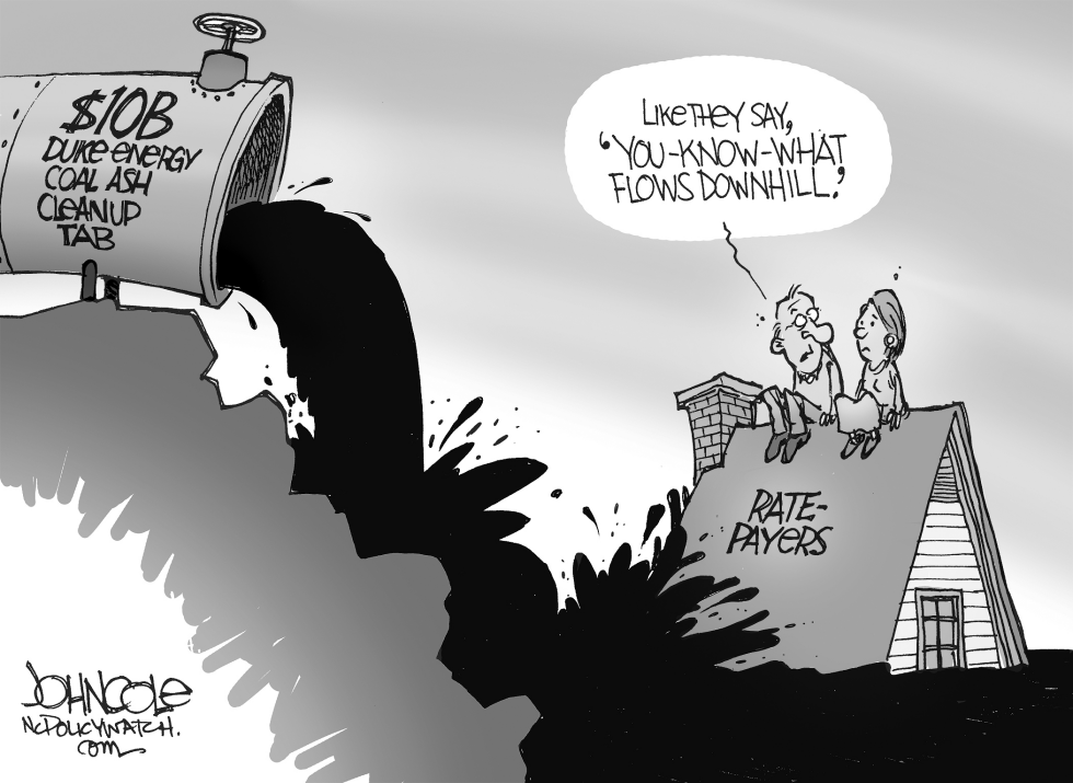 LOCAL NC - Coal-ash cleanup costs BW