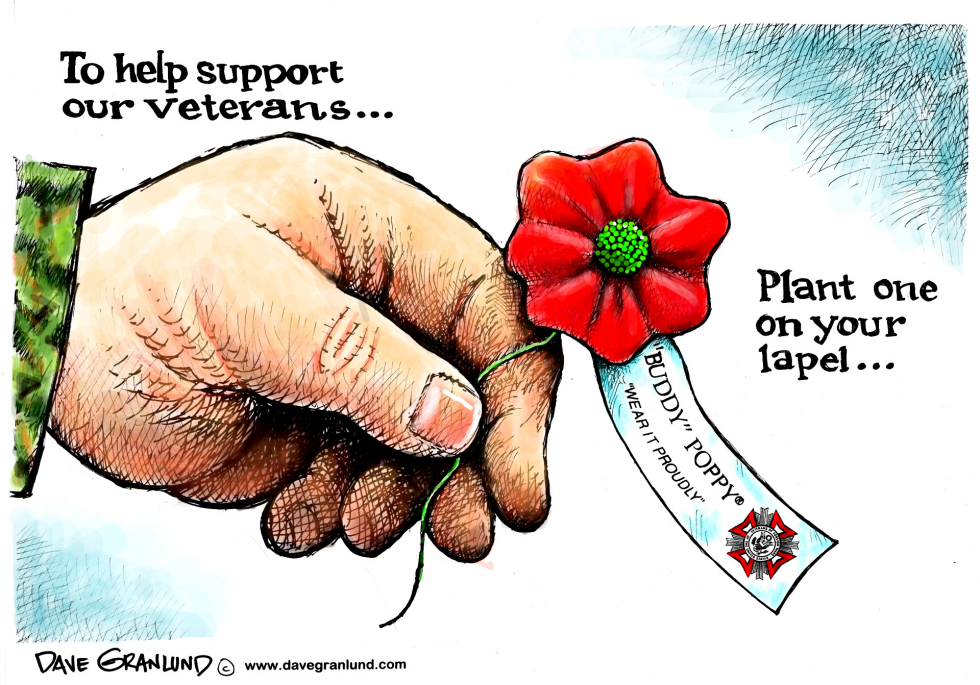  VFW POPPY PROGRAM by Dave Granlund