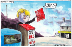 SCOTTISH LABOUR REFERENDUM PAPER by Iain Green