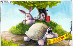 SCOTTISH REFERENDUM HARE AND THE TORTOISE RACE by Iain Green