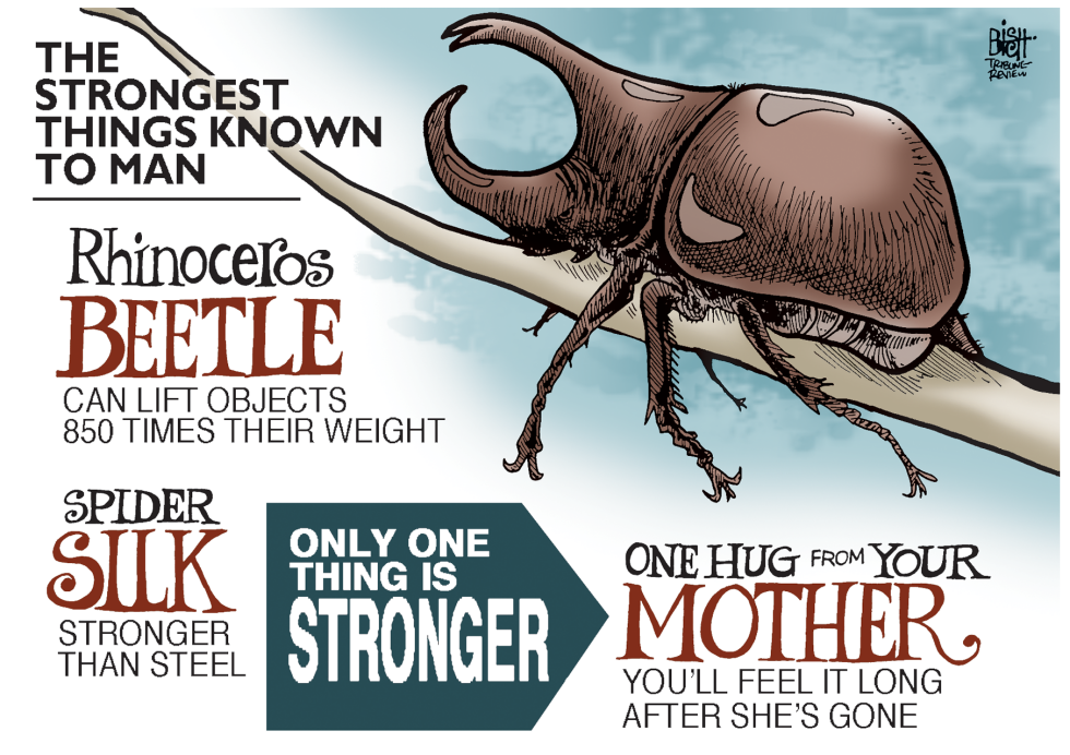 MOTHER'S DAY 2014, COLOR