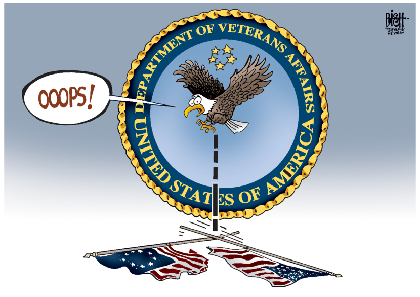 VETERANS AFFAIRS, COLOR