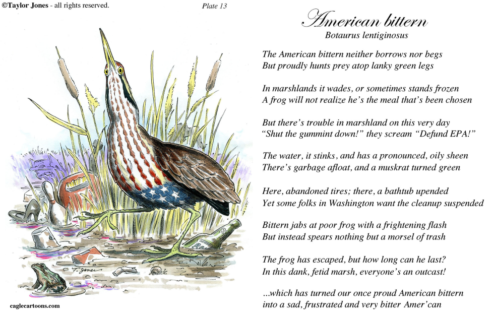 Field Guide for the Birds - Plate 13 - COLOR