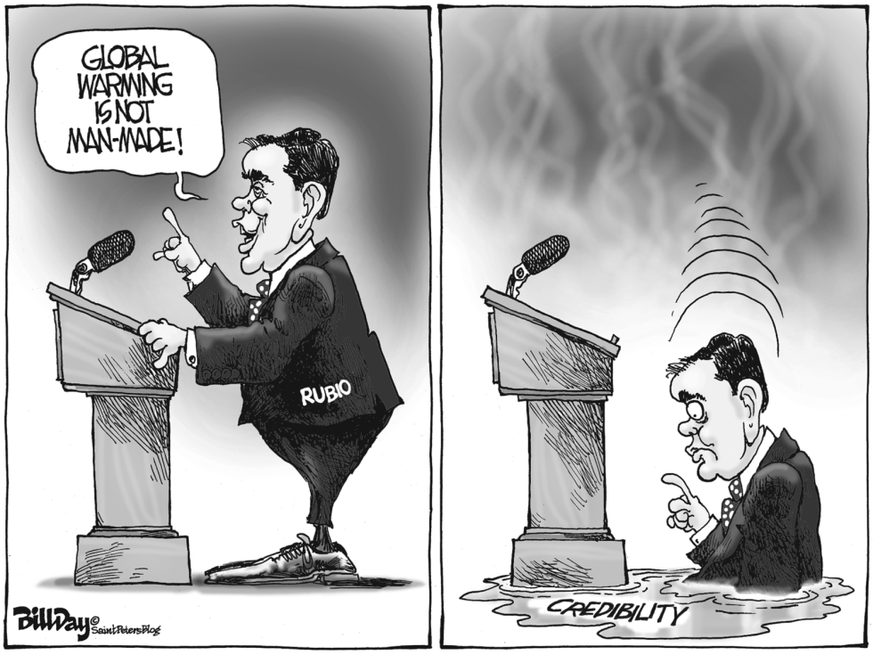 FL LOCAL Rubio Melt