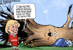 WALTERS, ROVE AND HILLARY by Jeff Darcy