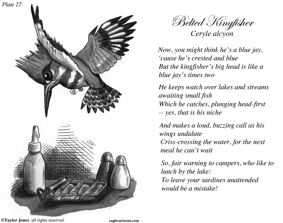 Taylor Jones Field Guide for the Birds - Plate 27