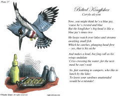 FIELD GUIDE FOR THE BIRDS - PLATE 27 -  by Taylor Jones