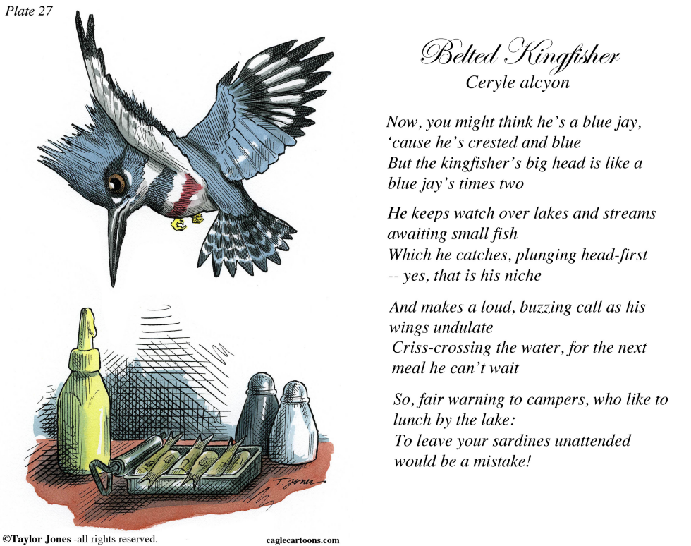 Field Guide for the Birds - Plate 27 - COLOR
