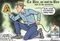 BEES by Steve Greenberg