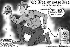 BEES BW by Steve Greenberg