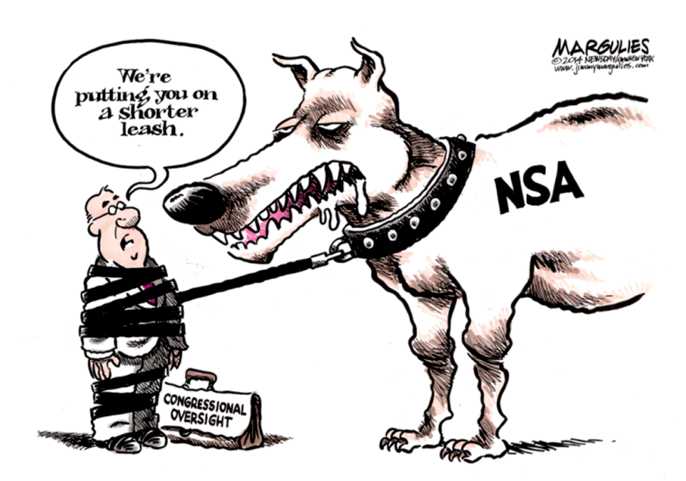 NSA reform color