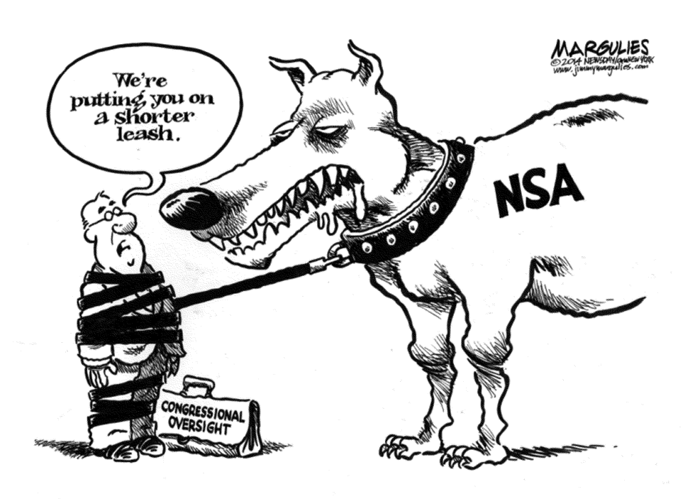 NSA reform