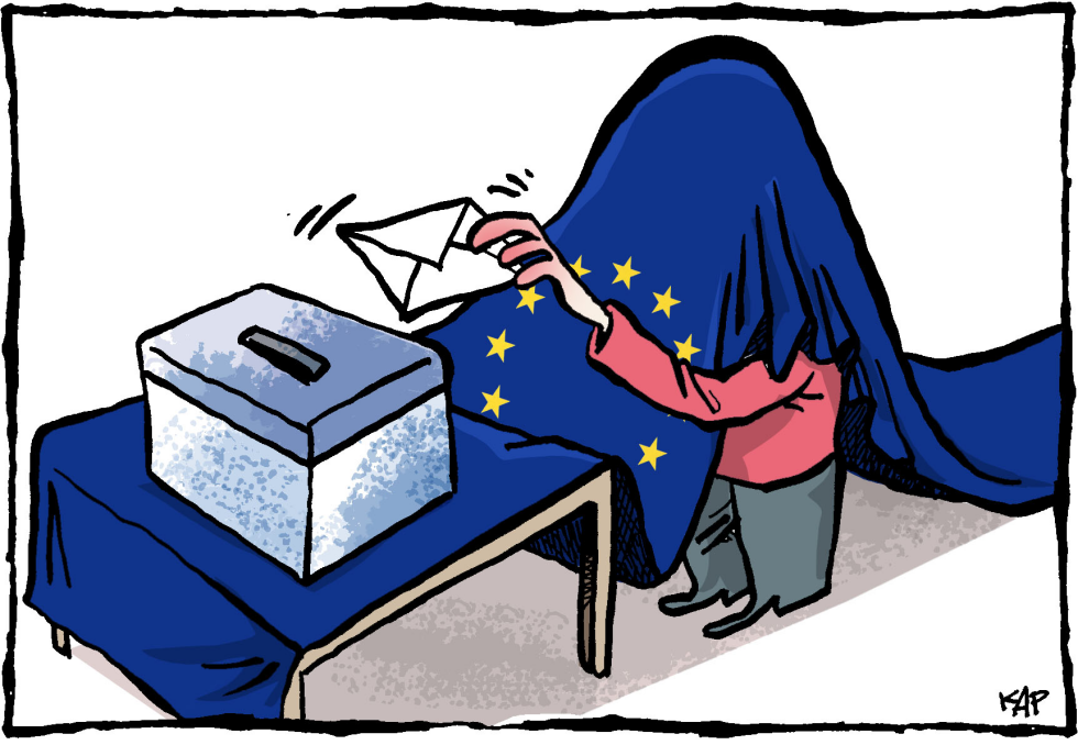  EU ELECTIONS by Kap