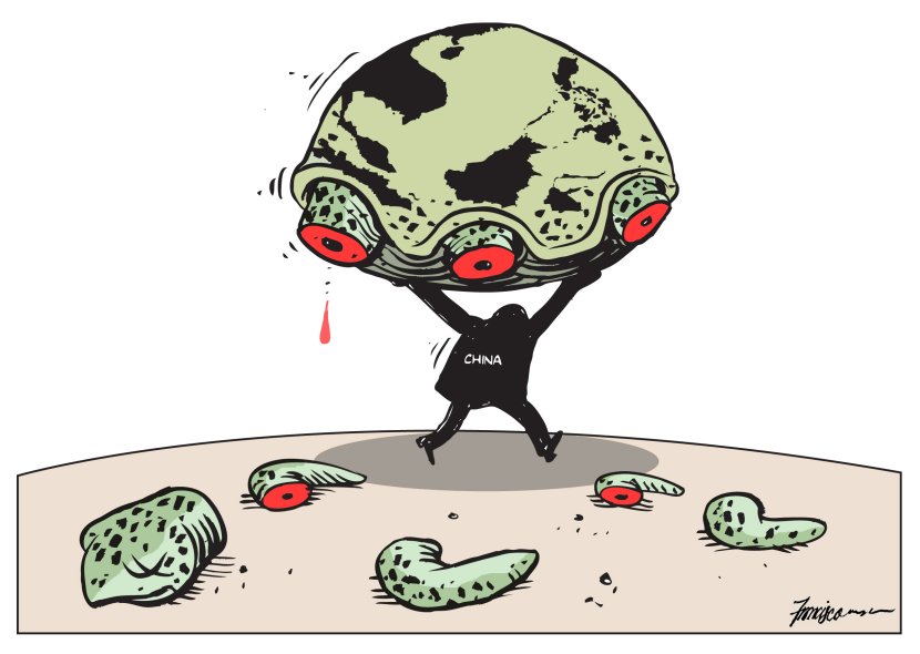 Territorial and turtle poacher
