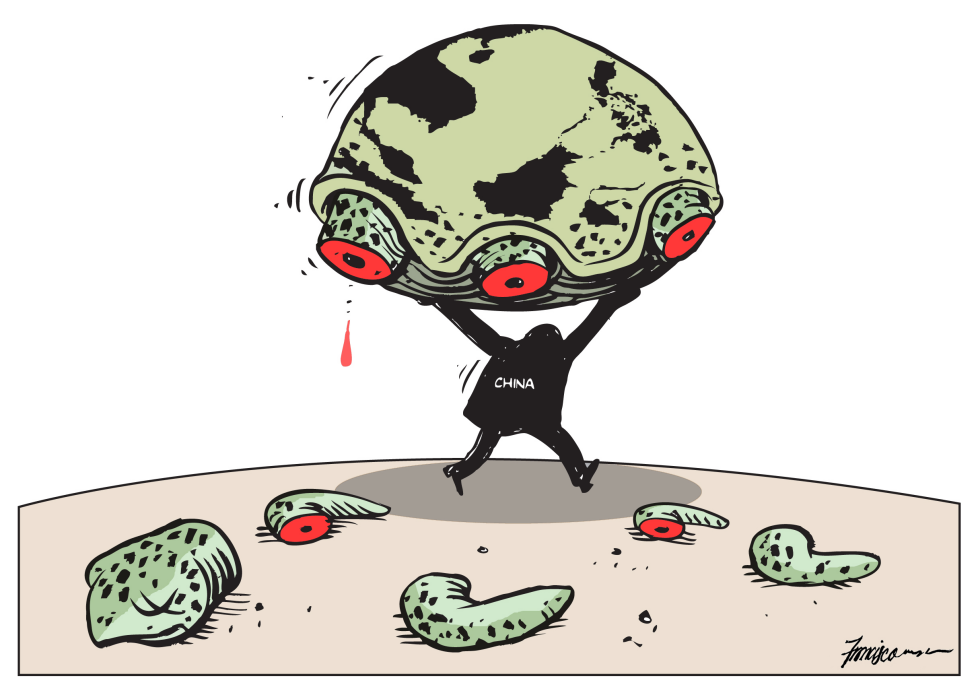 Territorial and turtle poacher