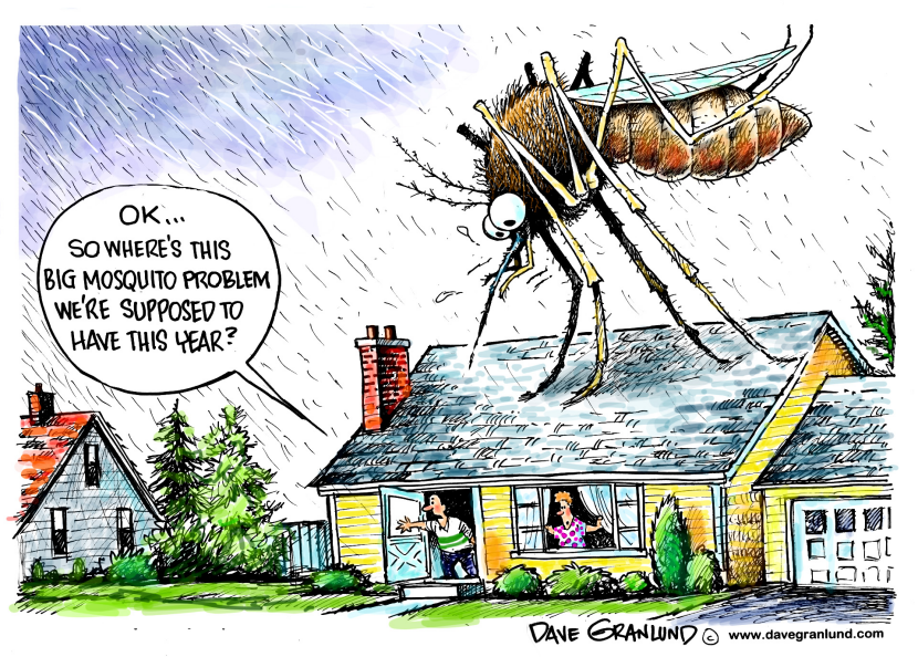 Bad year for mosquitoes