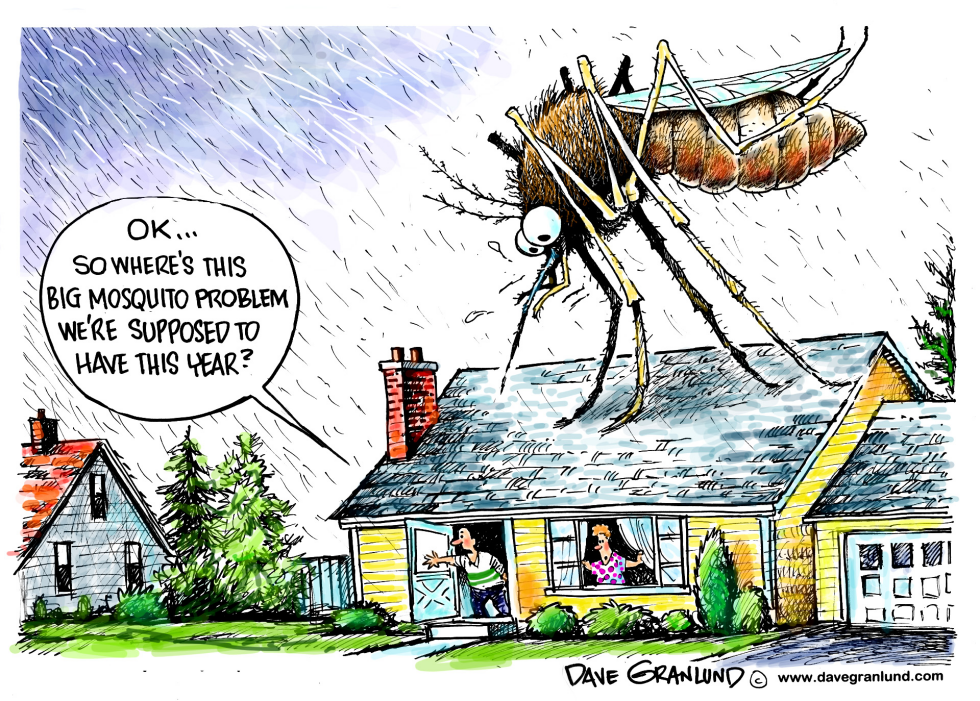 Bad year for mosquitoes