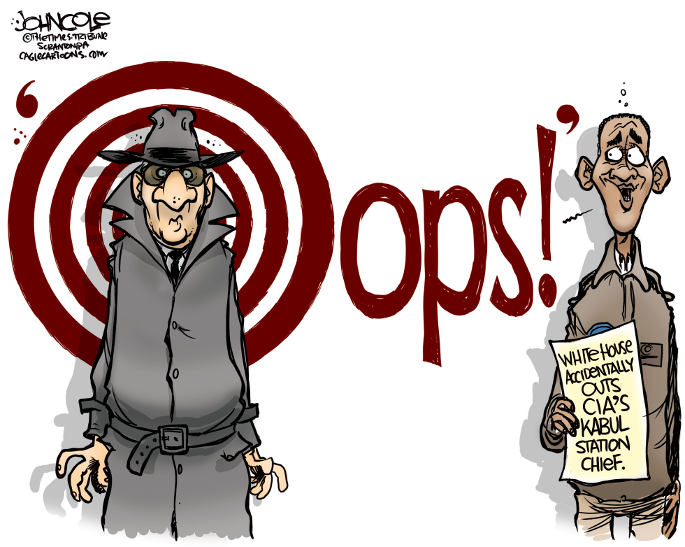 White House blows CIA cover COLOR