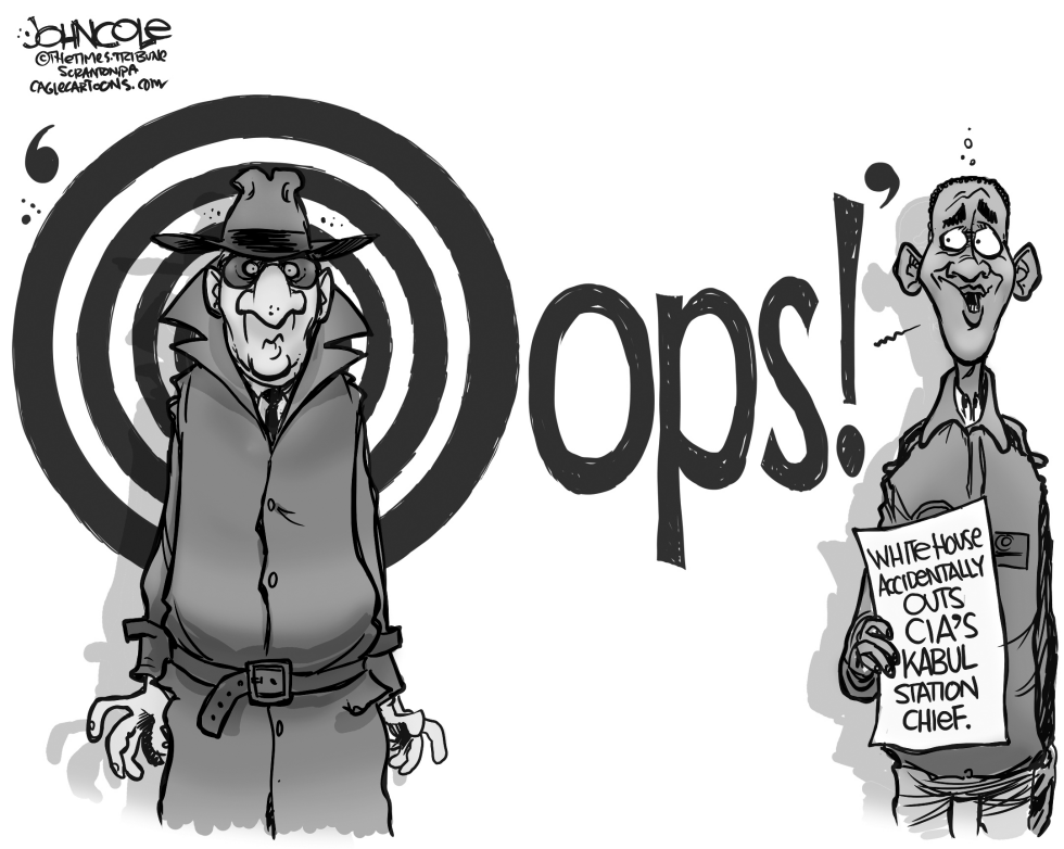 White House blows CIA cover BW