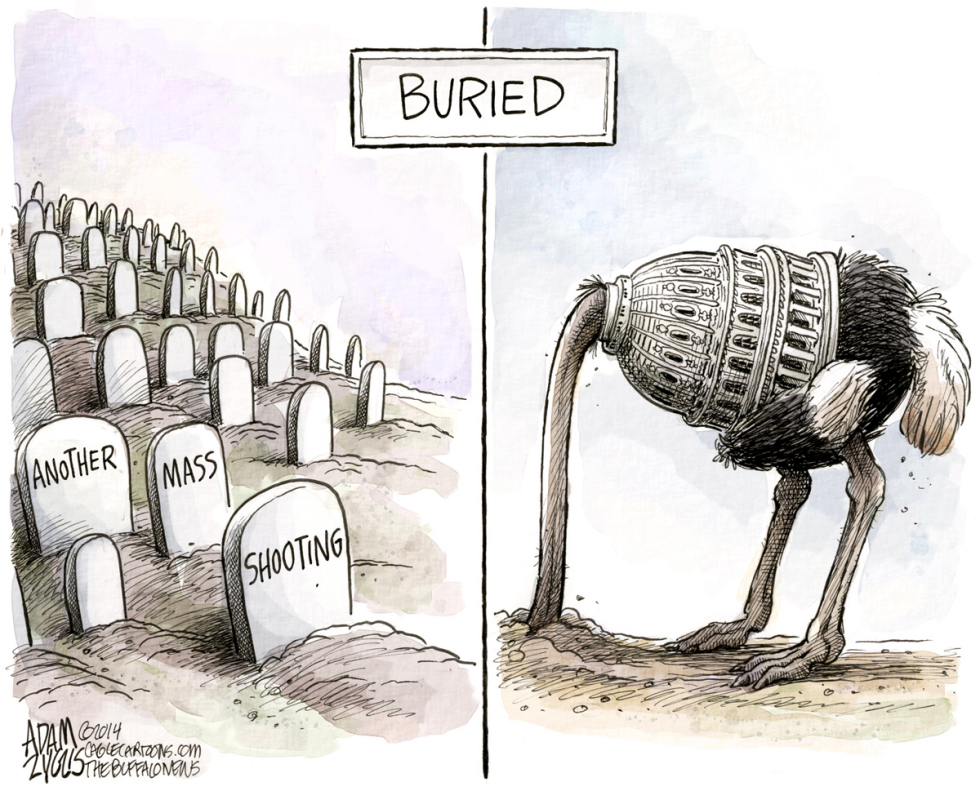 Another Mass Shooting