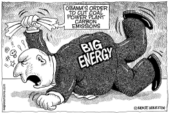 NEW OBAMA RULES FOR COAL POWER PLANTS by Monte Wolverton