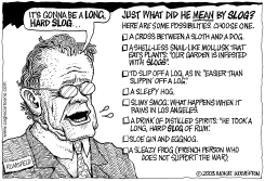 LONG HARD SLOG by Monte Wolverton