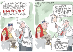 FIXING THE VA by Pat Bagley