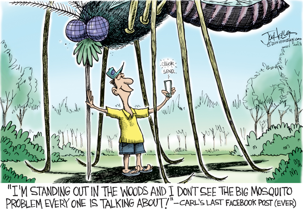 Mosquitoes