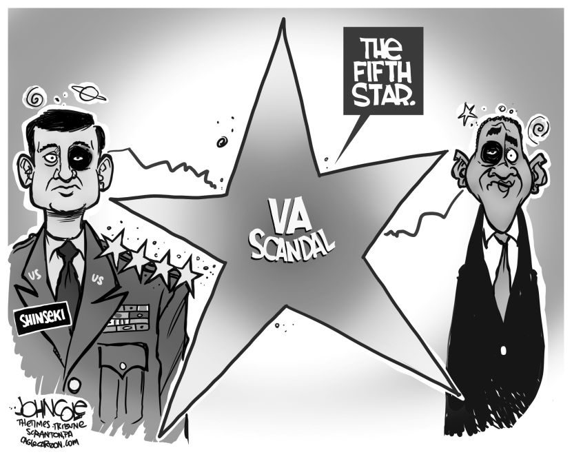 Shinseki resigns BW