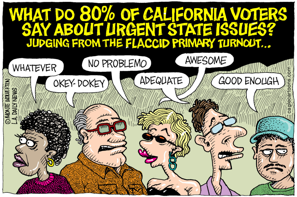 LOCAL-CA California Primary Turnout