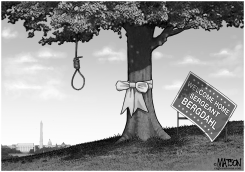  WELCOME HOME SERGEANT BERGDAHL by R.J. Matson
