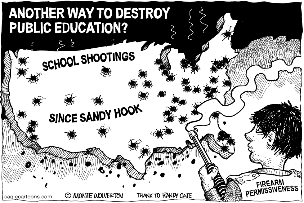 Shooting to Kill Public Education