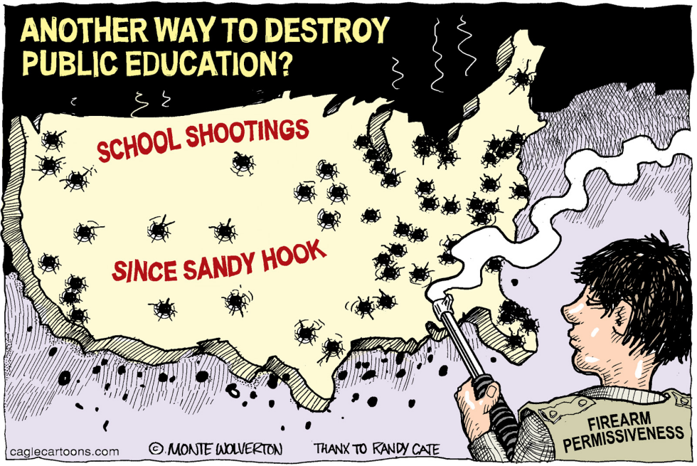 Shooting to Kill Public Education COLOR