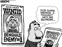 HILLARY FEELING WANTED by Steve Sack