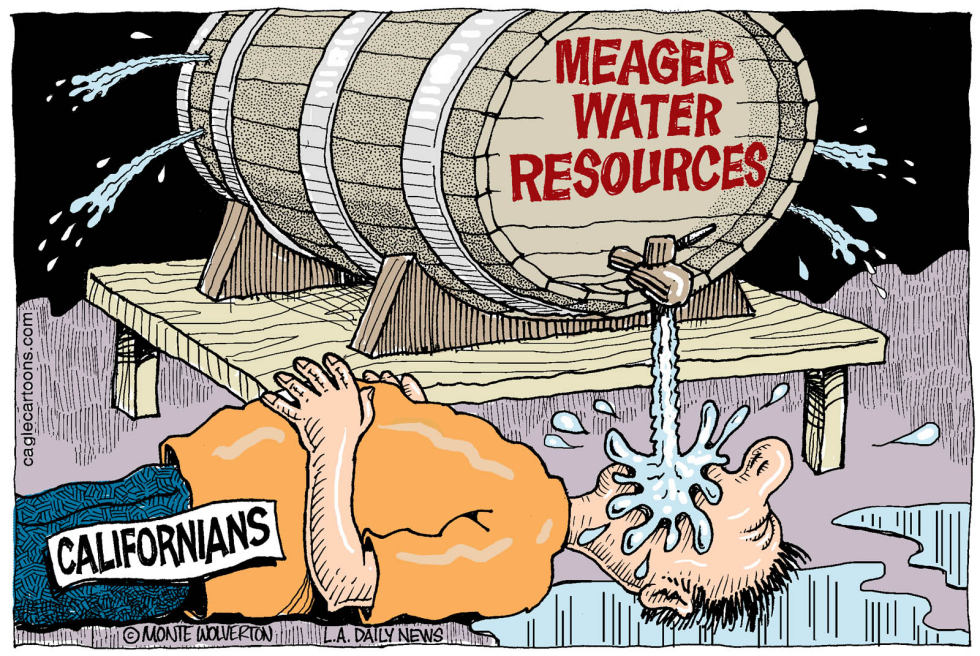 LOCAL-CA Californians Conserving Water COLOR